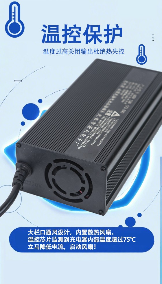 Aluminum Cased Sightseeing Vehicle Charger price