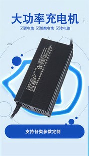 Aluminum Cased Sightseeing Vehicle Charger