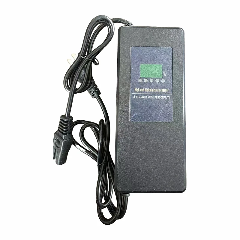 Lawn Mower Battery Charger